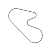 4429608 Engine Belt