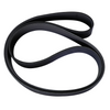 2985873 Engine Belt