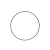 2985872 Engine Belt