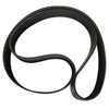 4429608 Engine Belt
