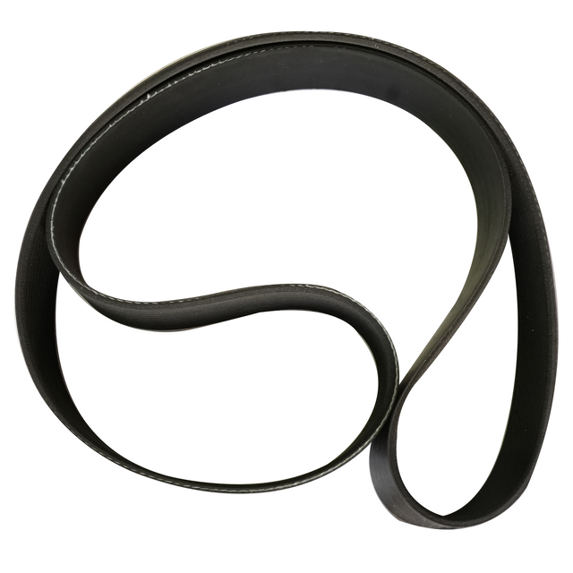 4429608 Engine Belt