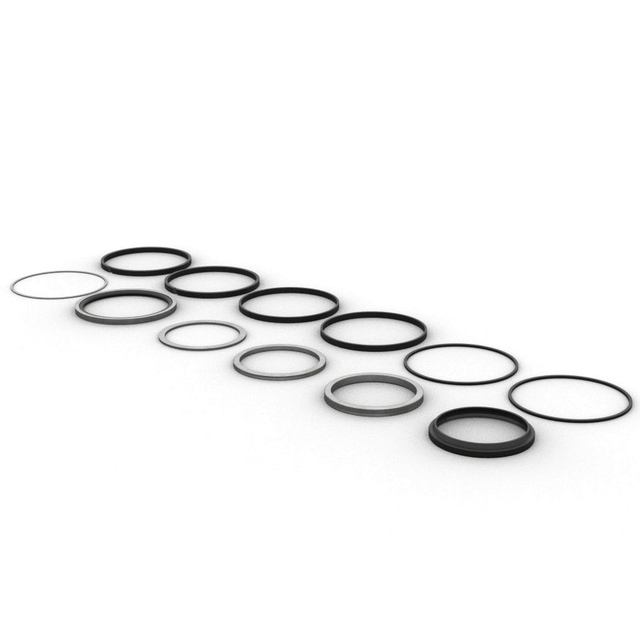 4560209 Hydraulic Cylinder Seal Kit