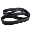 2213775 Engine Belt