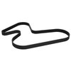 2985876 Engine Belt