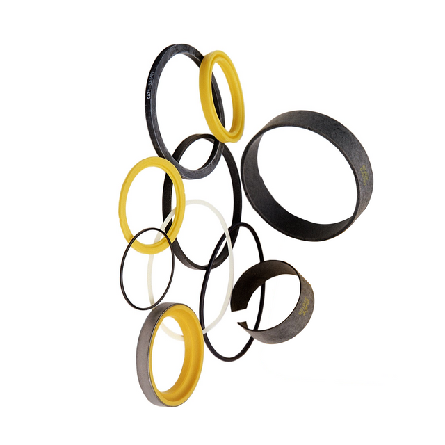 3924576 Hydraulic Seals
